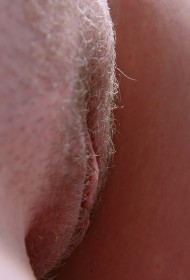 Pretty Amateur Girl